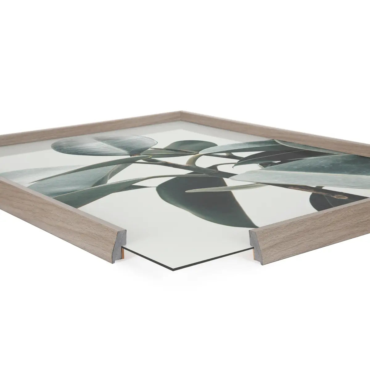 Framed Printed Glass - Houseplant - kateandlaurel