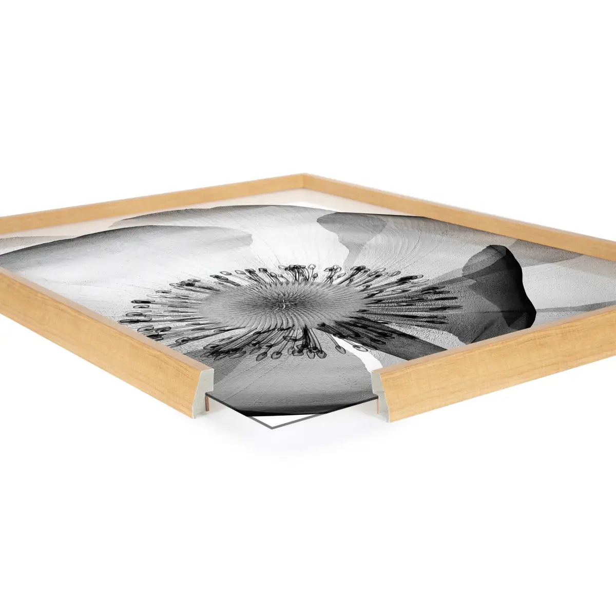 Blake Poppy X Ray Floral 2 BW Framed Printed Art - Natural / 18x24 - kateandlaurel