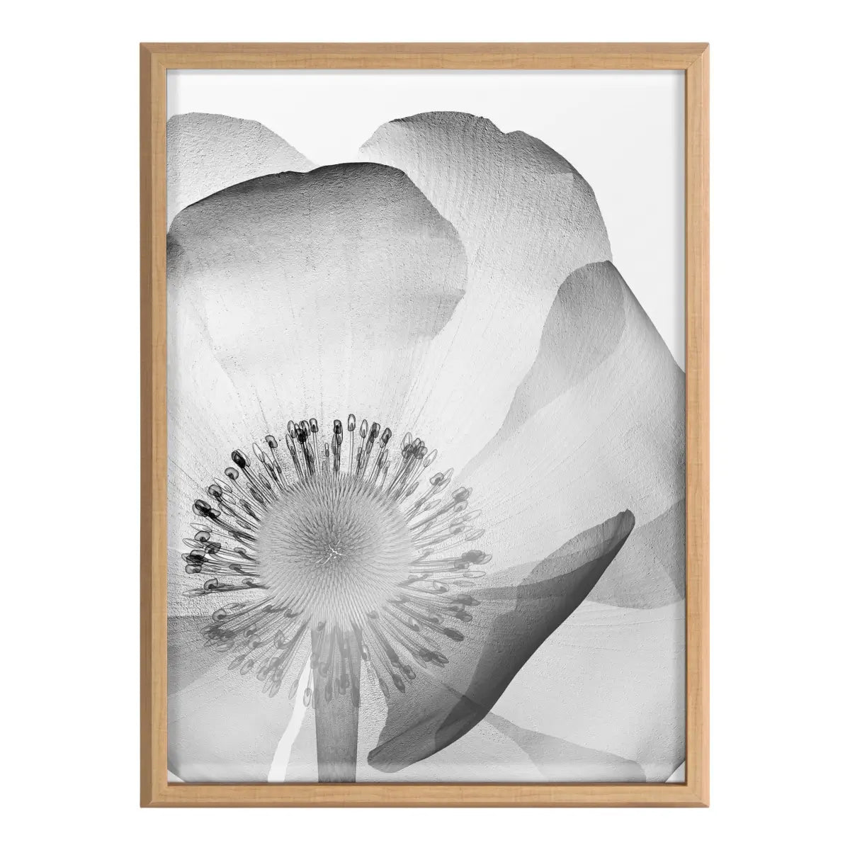Blake Poppy X Ray Floral 2 BW Framed Printed Art - Natural / 18x24 - kateandlaurel