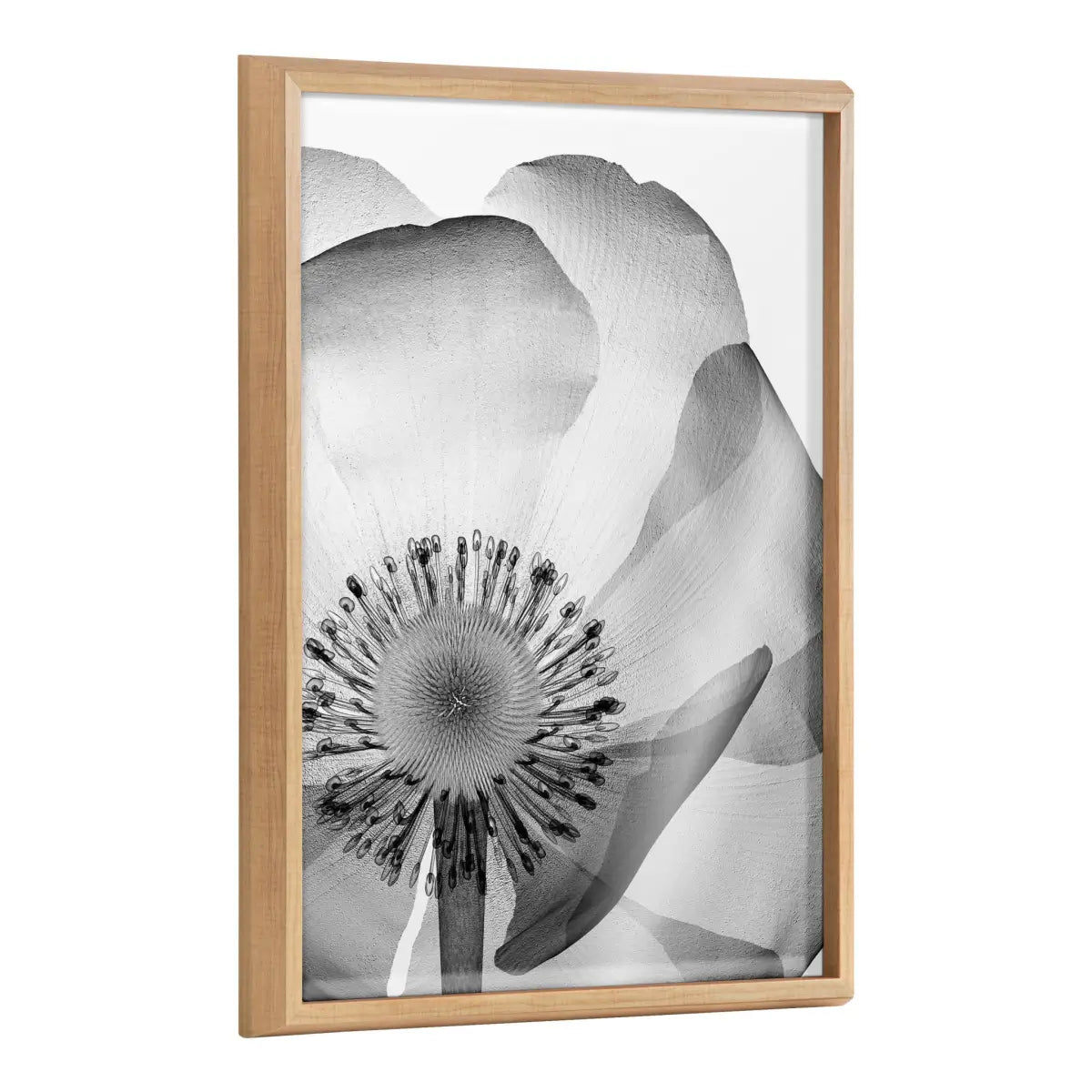 Blake Poppy X Ray Floral 2 BW Framed Printed Art - Natural / 18x24 - kateandlaurel