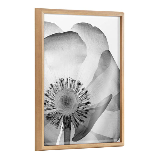 Blake Poppy X Ray Floral 2 BW Framed Printed Art - Natural / 18x24 - kateandlaurel