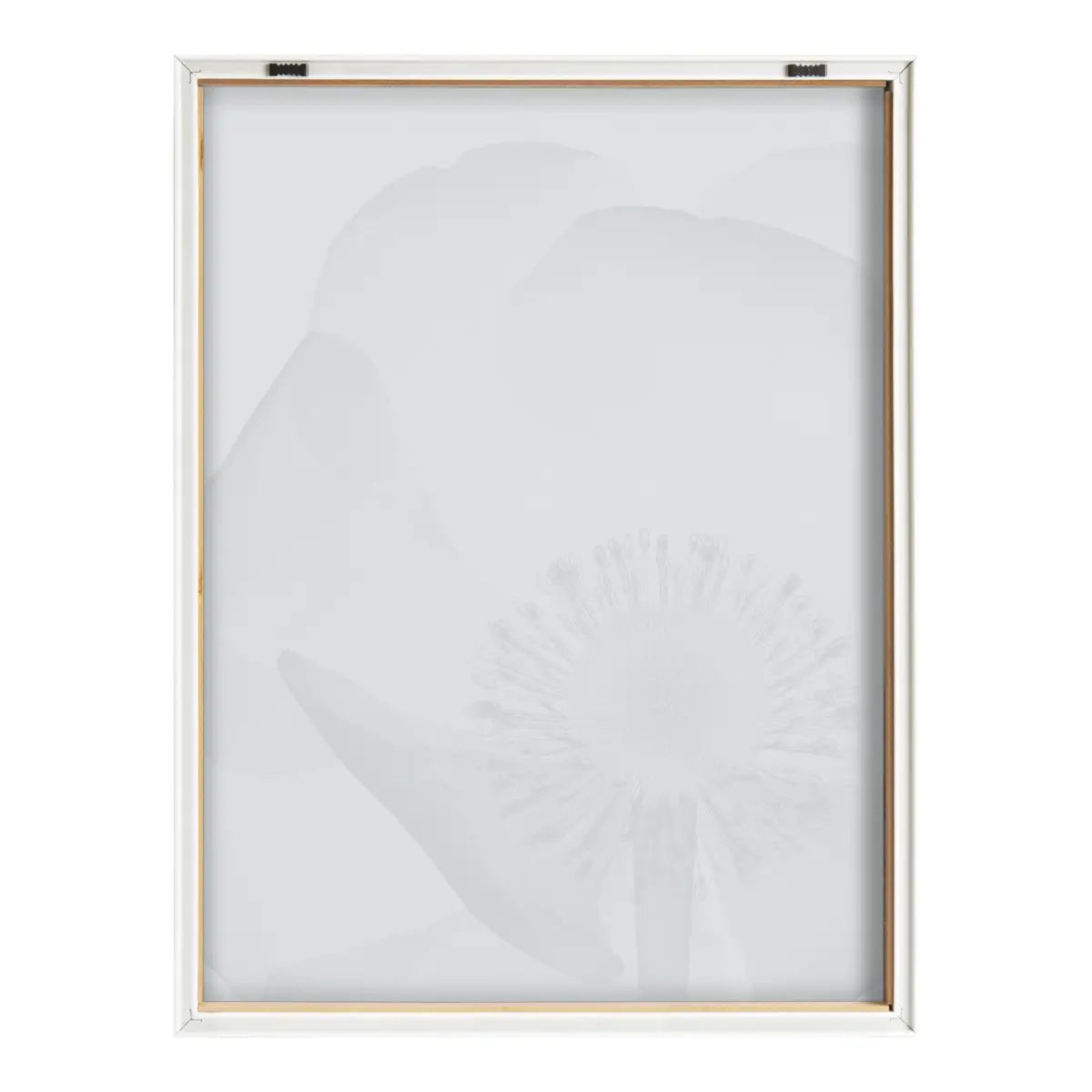 Blake Poppy X Ray Floral 2 BW Framed Printed Art - Natural / 18x24 - kateandlaurel