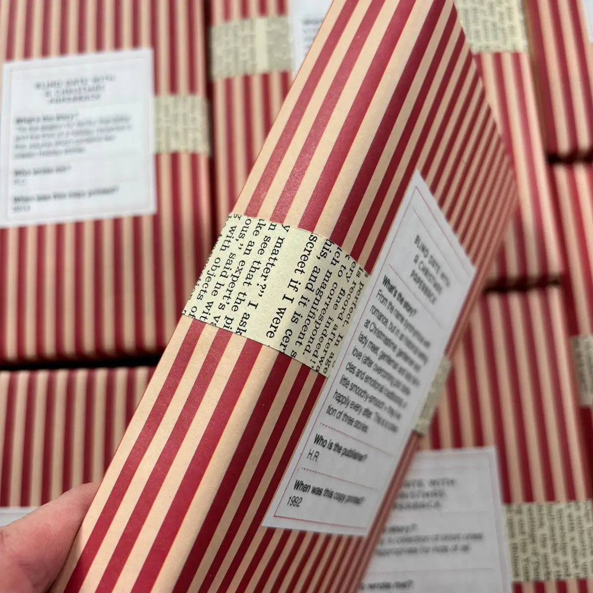 Blind Date with a Book - Christmas Paperback - Jubilee Flea