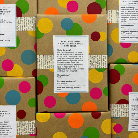 Blind Date with a Book - Kid’s Chapter Book - Paperback - Jubilee Flea