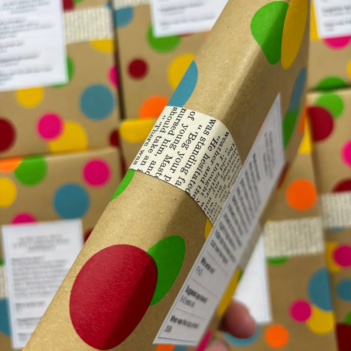 Blind Date with a Book - Kid’s Chapter Book - Paperback - Jubilee Flea