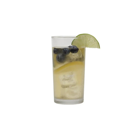 Blueberry Green Fresh Brew Iced Tea - Iced Tea Pouches / Bag of 15 Pouches - Harney & Sons Fine Teas