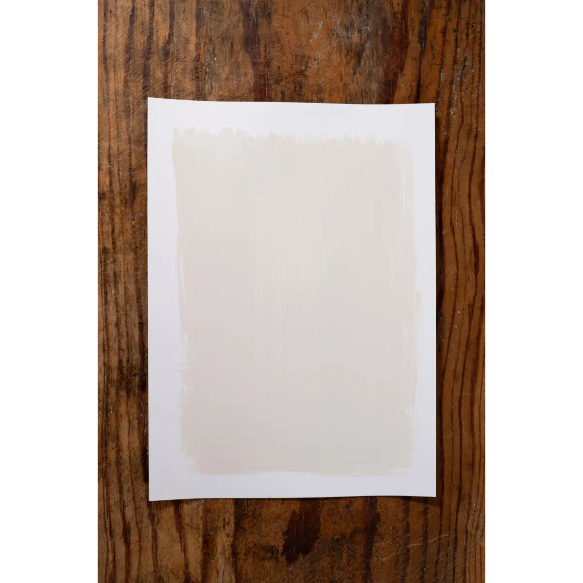 Boggle Buddies - Manor Borne Wall Paint - Amy Howard At Home