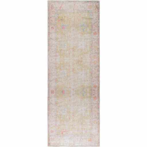 Bozkurt Distressed Washable Rug - 2’7’’ x 7’3’’ Runner - Boutique Rugs
