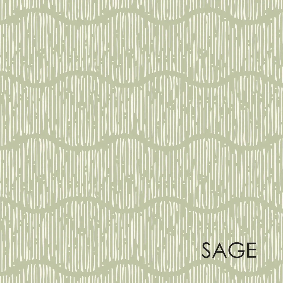 Brooks Wallpaper - Pastel Wavy Lines for Baby - by Erin Silliman Designs - Sample 1 foot by 1 foot / Sage - Loomwell