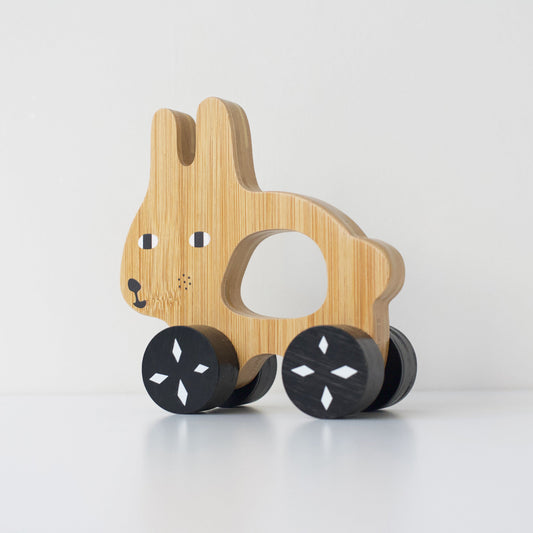 Push Toy - Bunny