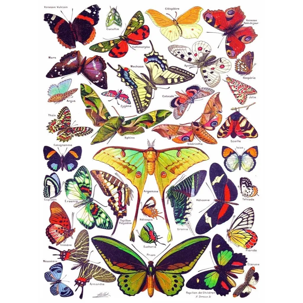 Jigsaw Puzzle - Butterflies ~ Papillons - 1000 Piece - New York Puzzle Company