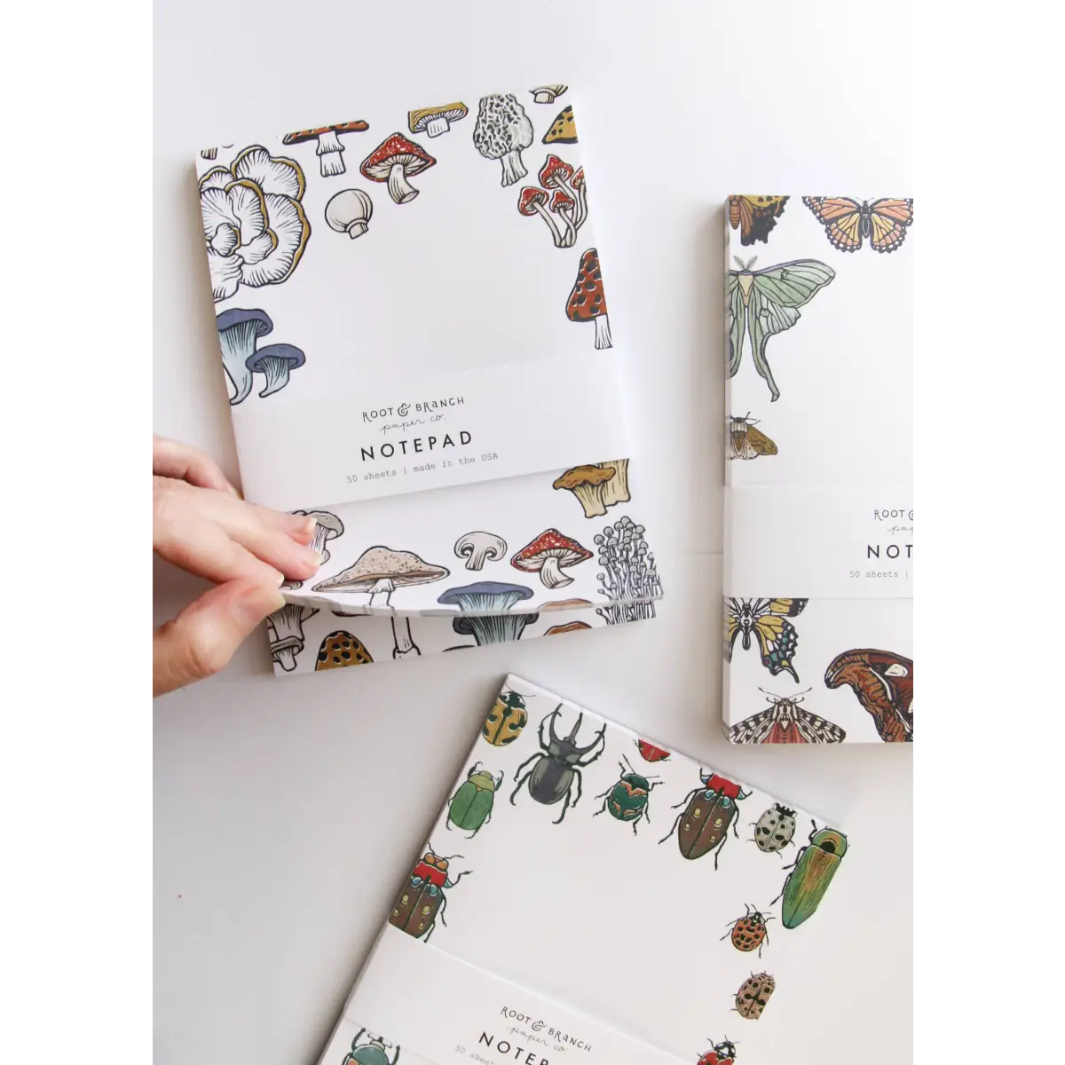 Notepad - Butterfly + Moth - Artist Designed - Root & Branch Paper Co.