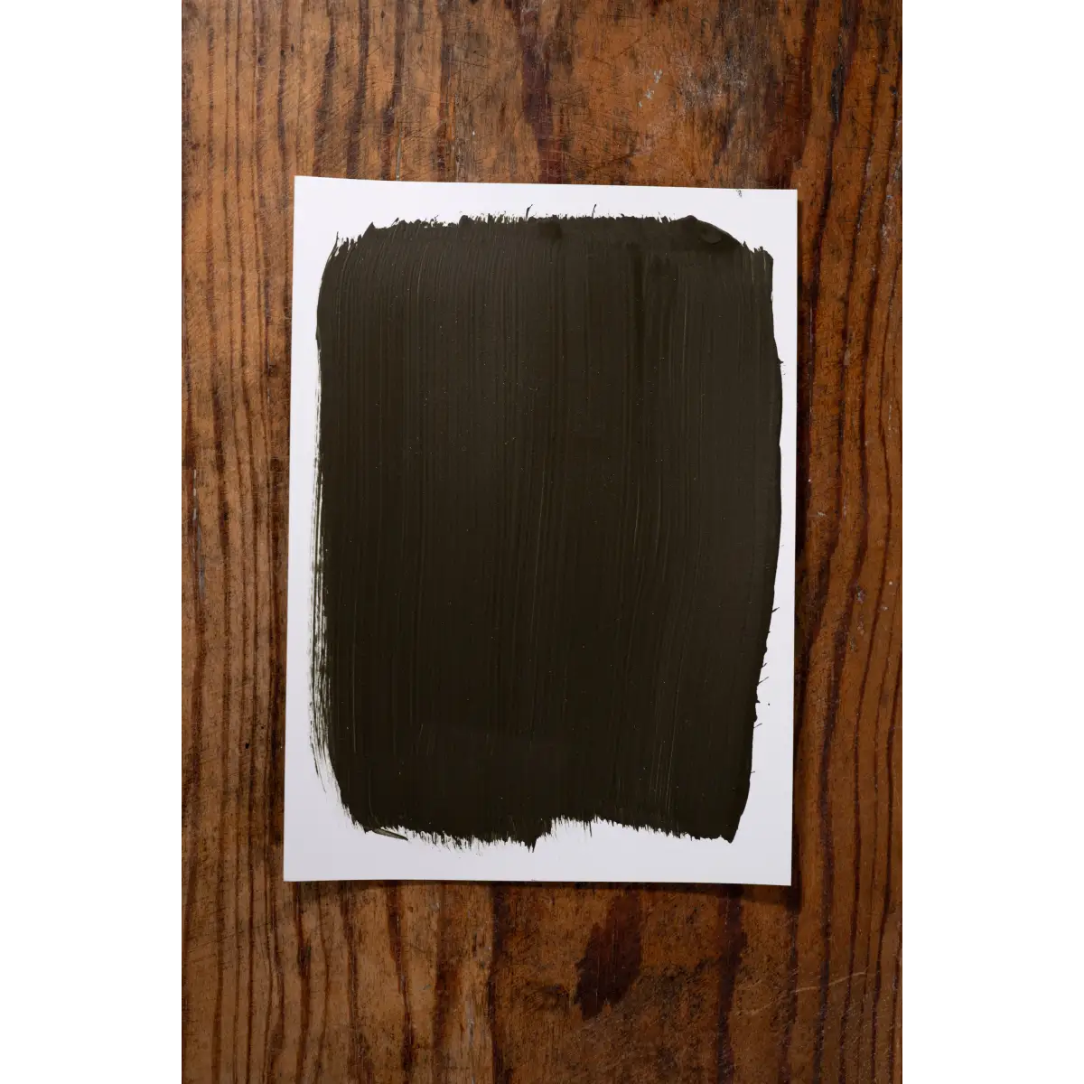 Cafe Chocolate - Manor Borne Wall Paint - Amy Howard At Home