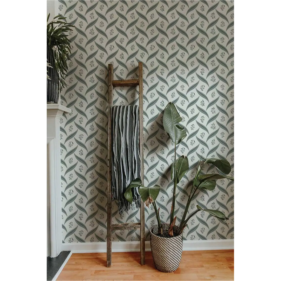 Campbell Wallpaper - Berries and Leaves - by Hufton Studio - Loomwell Home Goods