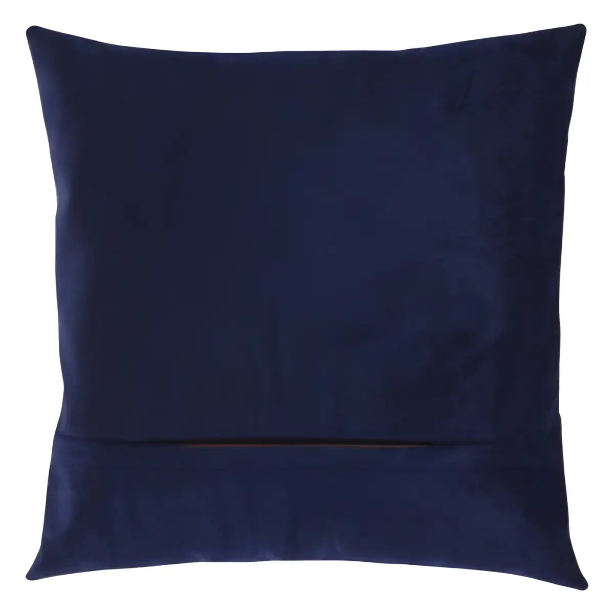Canvello Decorative Velvet Pillow - 20’’ X 20’’ - light blue / 20’’ X 20’’ - Canvello