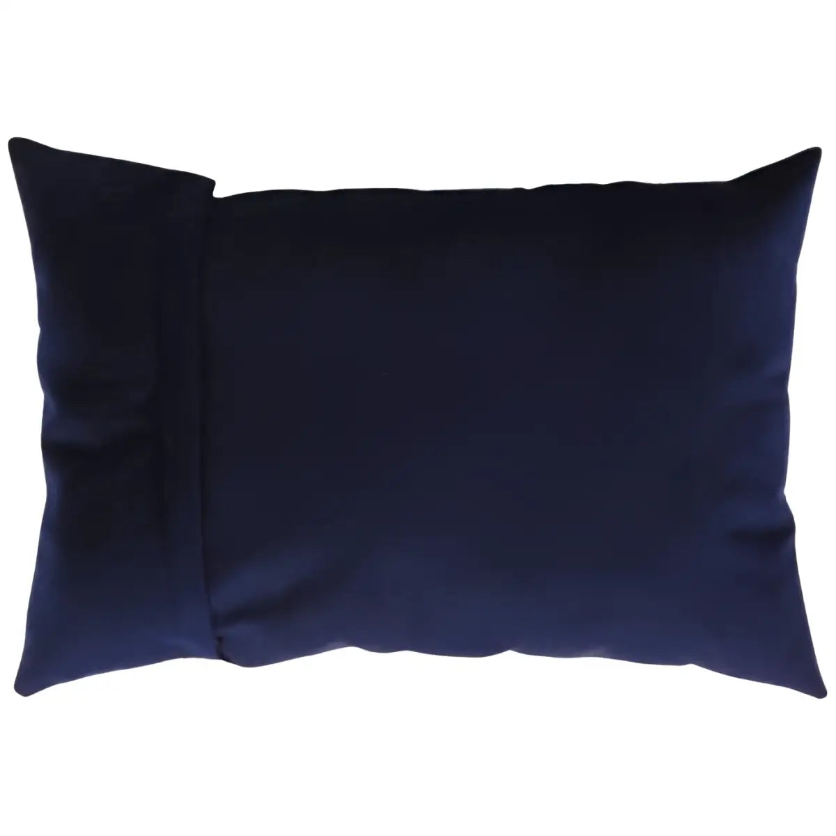Canvello Decorative Velvet Throw Pillow - 16’’ X 24’’ - Ivory-Rose / 16’’ X 24’’ - Canvello