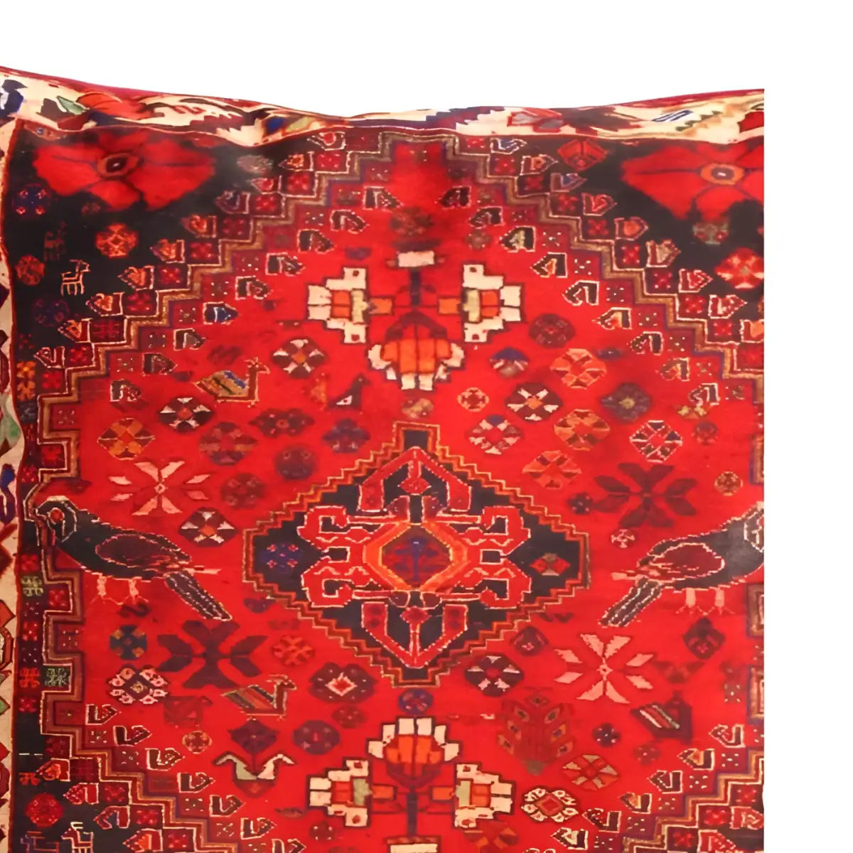 Canvello Decorative Velvet Throw Pillow - 16’’ X 16’’ - navy blue-Red / 16’’ X 16’’ - Canvello