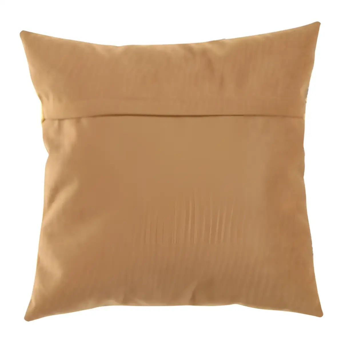 Canvello Decorative Velvet Throw Pillow - 20’’ X 20’’ - Beige / 20’’ X 20’’ - Canvello