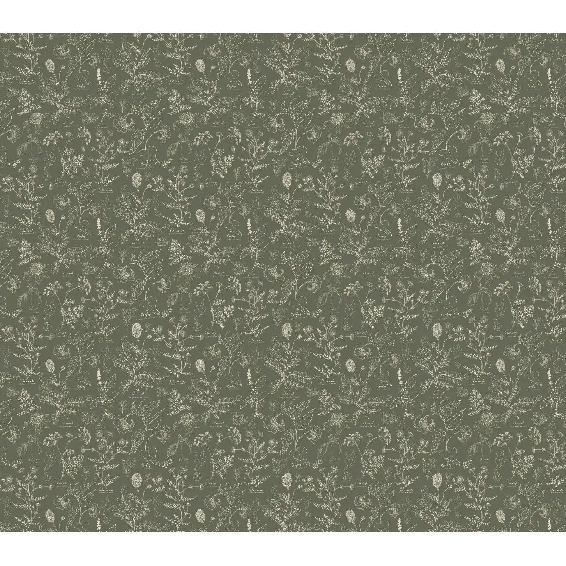 Caraway Wallpaper - Fine Floral - by Danelys Sidron - Sample 1 foot by 1 foot / Sage / Small - Loomwell Home Goods