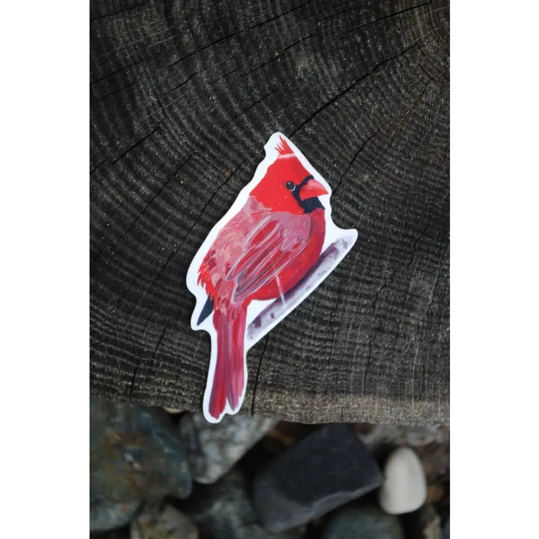 Cardinal Vinyl Sticker - Little Rocks Design