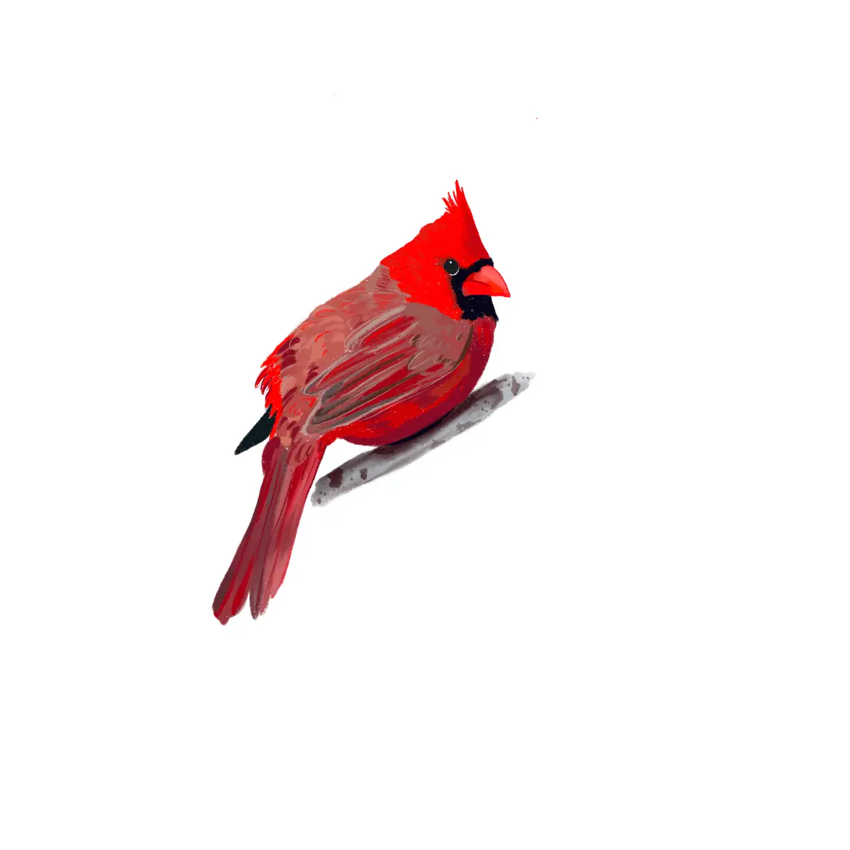 Cardinal Vinyl Sticker - Little Rocks Design