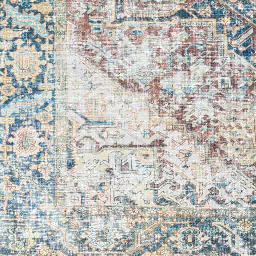 Blue Catigpian Distressed Washable Area Rug - Clearance - Boutique Rugs