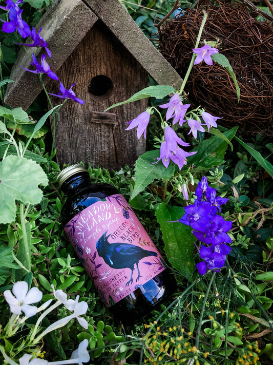 Oregon Black Bird Simple Syrup - Marionberry and Peppercorn - Lemonade or Gin