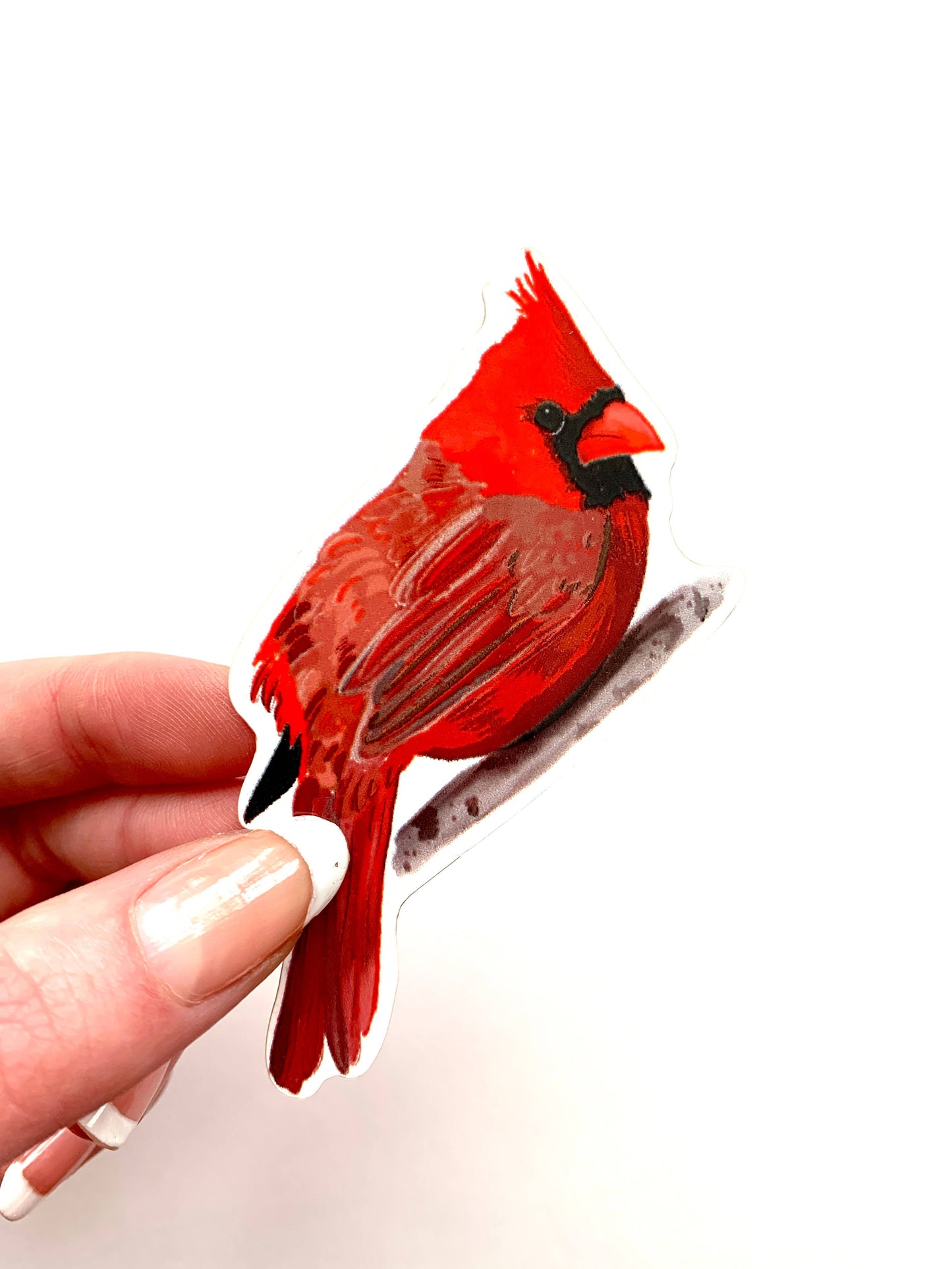 Cardinal Vinyl Sticker