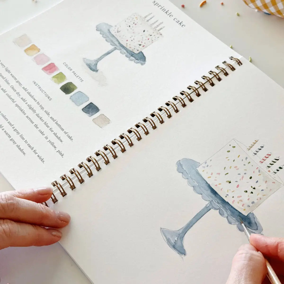 Watercolor Workbook - Celebrate Birthday Party - emily lex studio