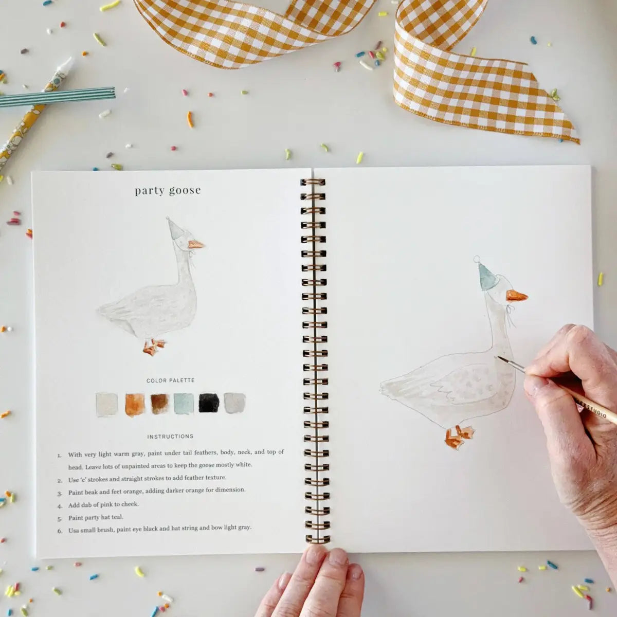 Watercolor Workbook - Celebrate Birthday Party - emily lex studio