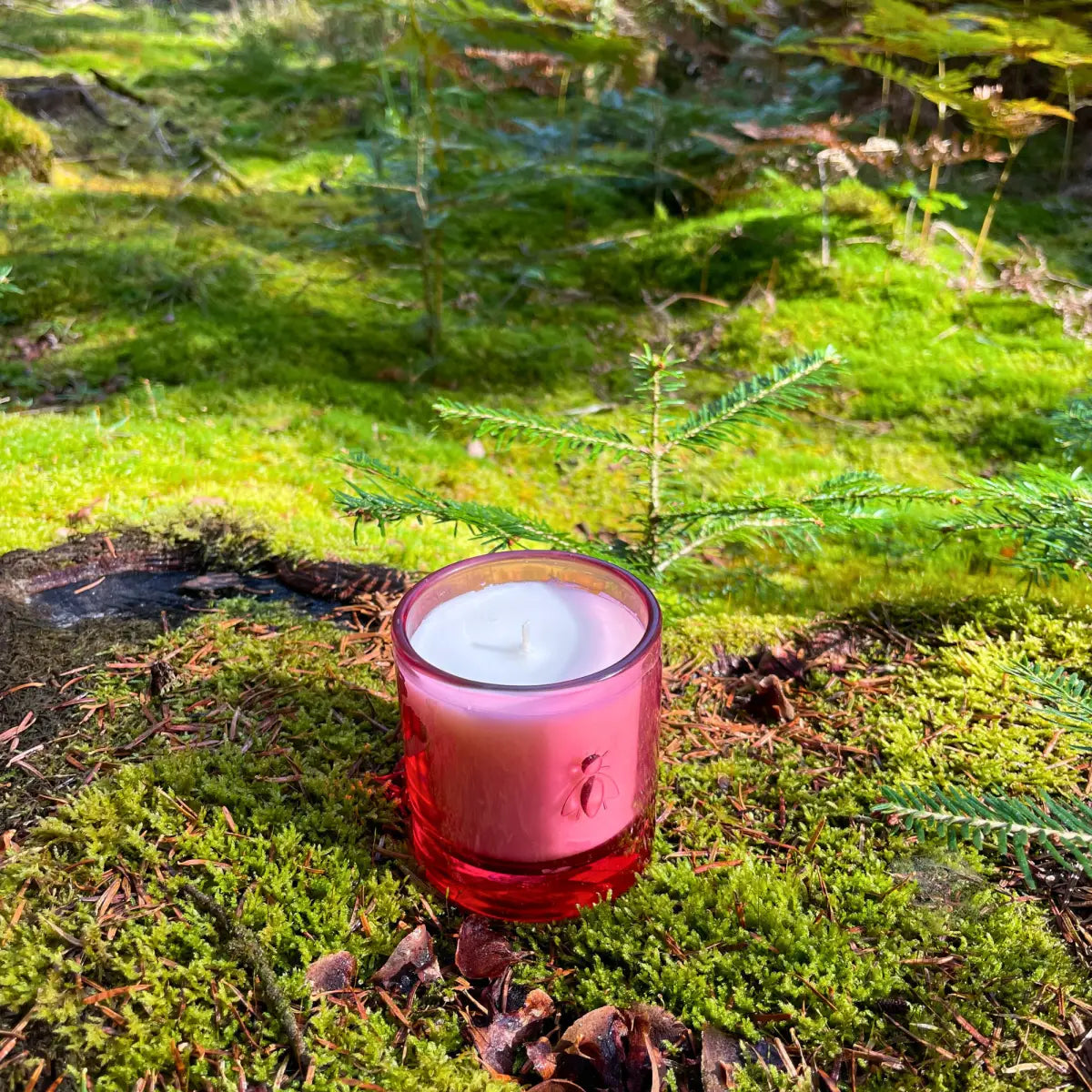 Cherry Blossom Bee Soy Candle - La Rochere NA