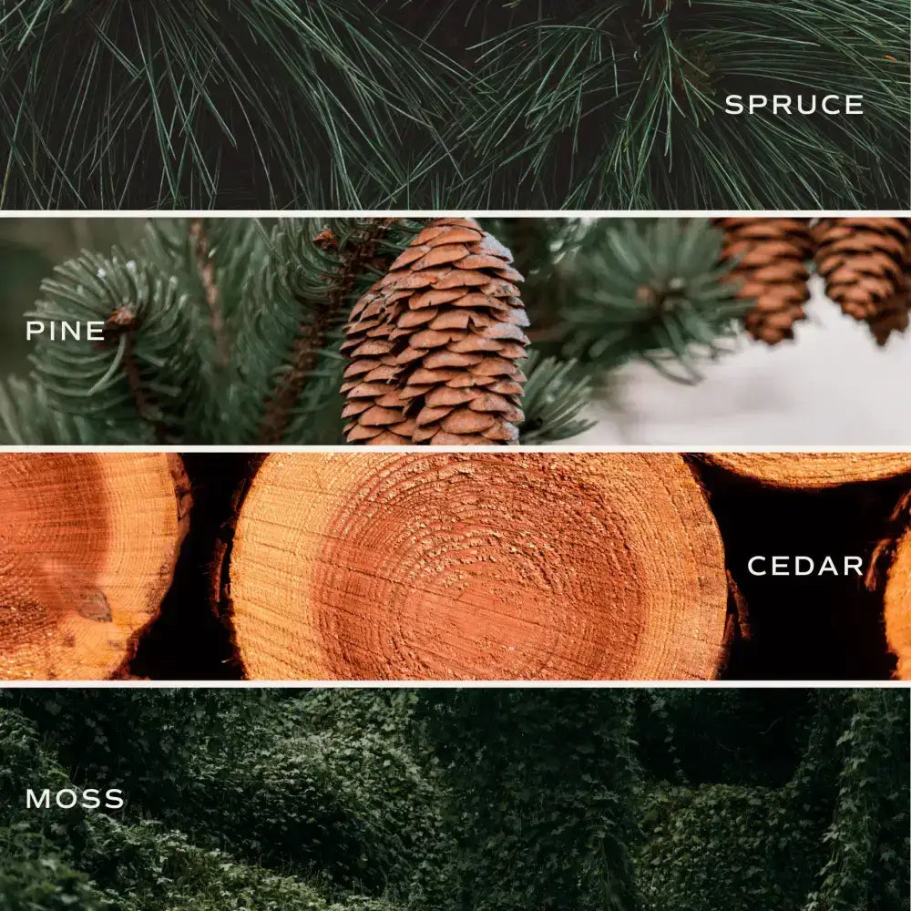 Christmas Tree Farm Soy Candle - Green Matte Jar - 15 oz - Sweet Water Decor