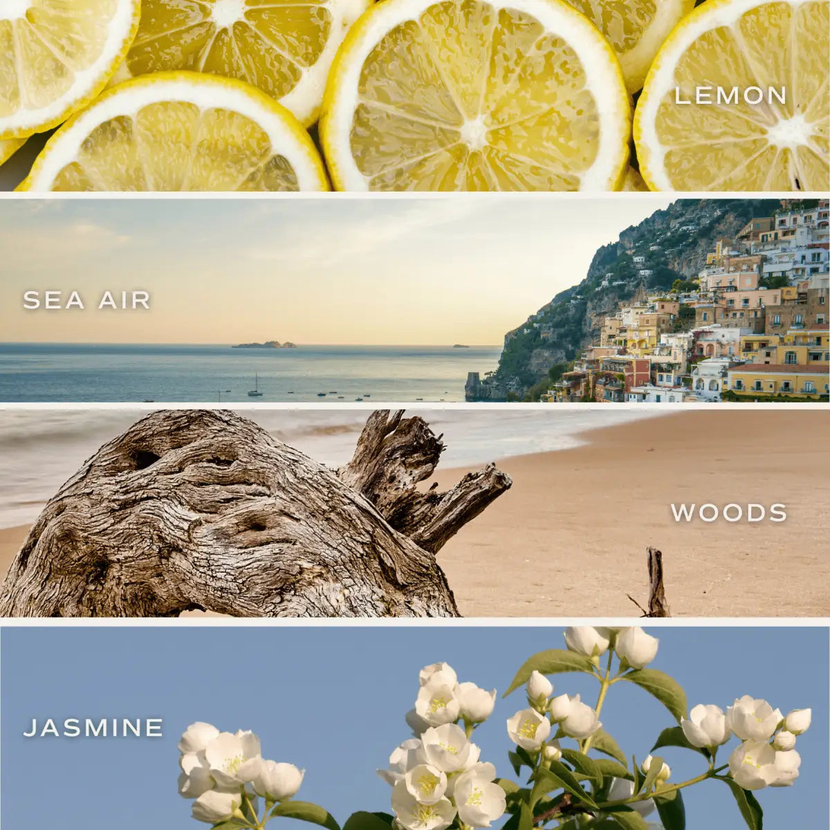 Coastal Lemon Soy Candle - White Jar - 11 oz - Sweet Water Decor