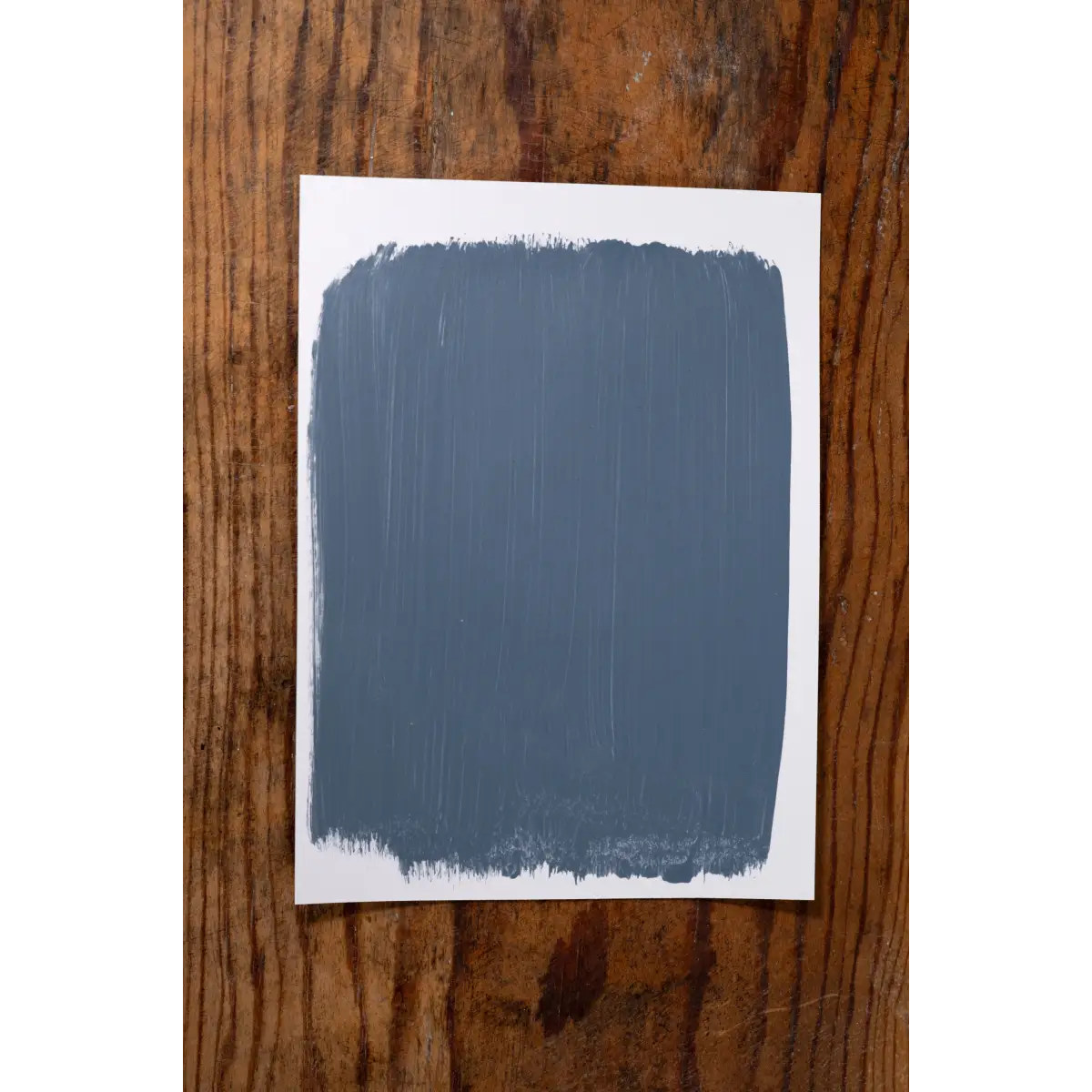 Color Me Pretty - Manor Borne Wall Paint - Amy Howard At Home