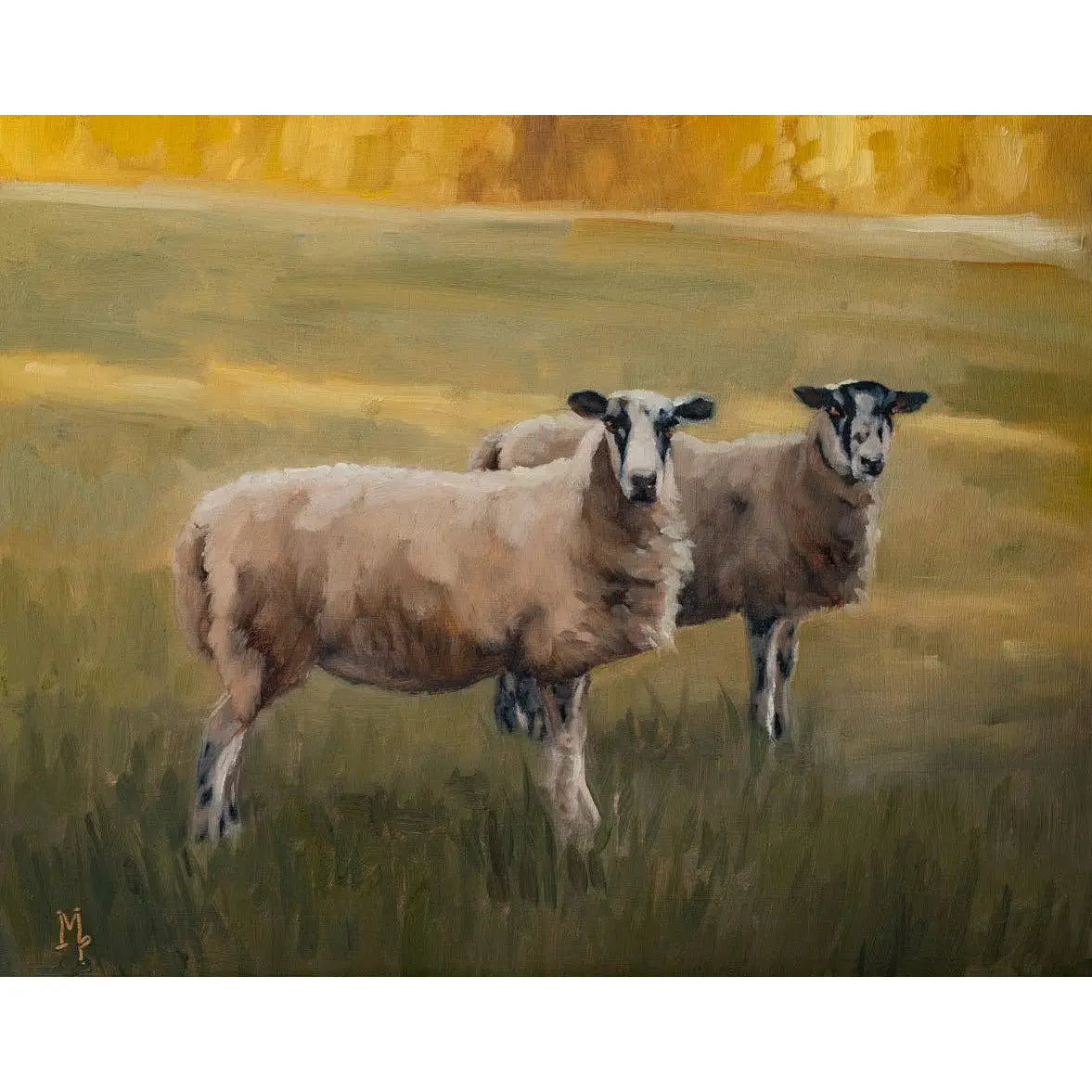 Art Print - Cotswold Sheep Painting - 5x7 - Miss Mustard Seed