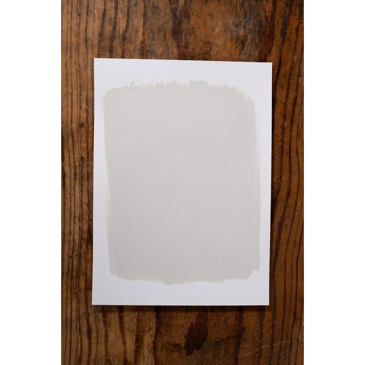 Cotton Blossom - Manor Borne Wall Paint - Amy Howard At Home