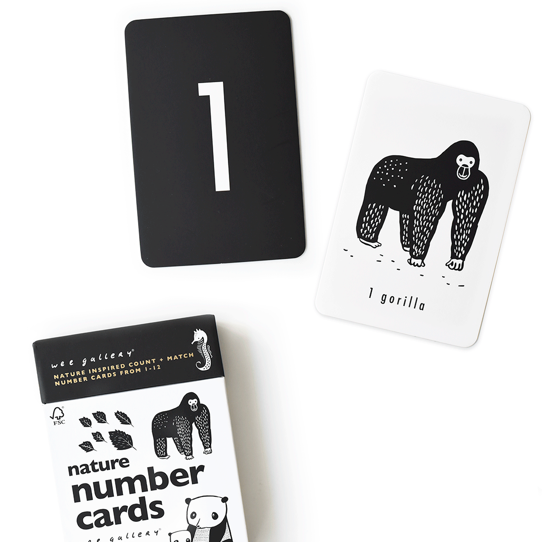 Counting Adventure Bundle - Wee Gallery