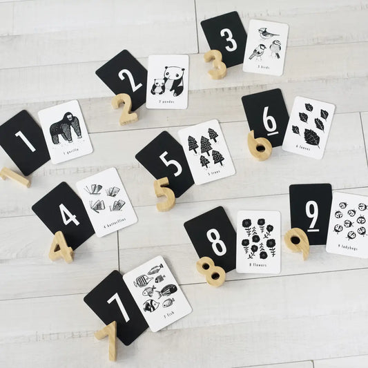 Counting Adventure Bundle - Wee Gallery