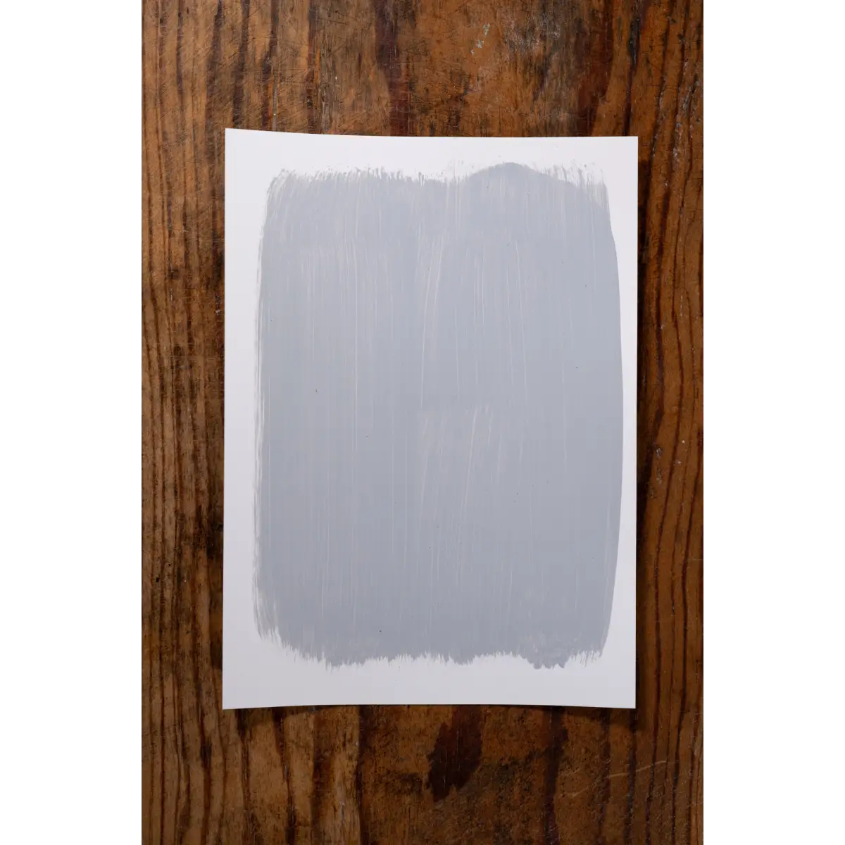 Country Cooking - Manor Borne Wall Paint - Amy Howard At Home