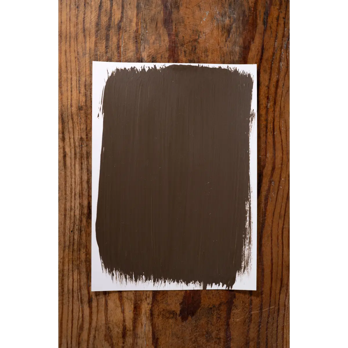 Country Roads - Manor Borne Wall Paint - Amy Howard At Home