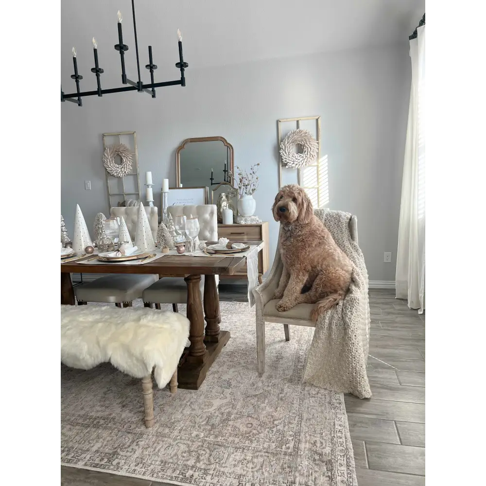 Cream Holi-2301 Washable Area Rug - Boutique Rugs