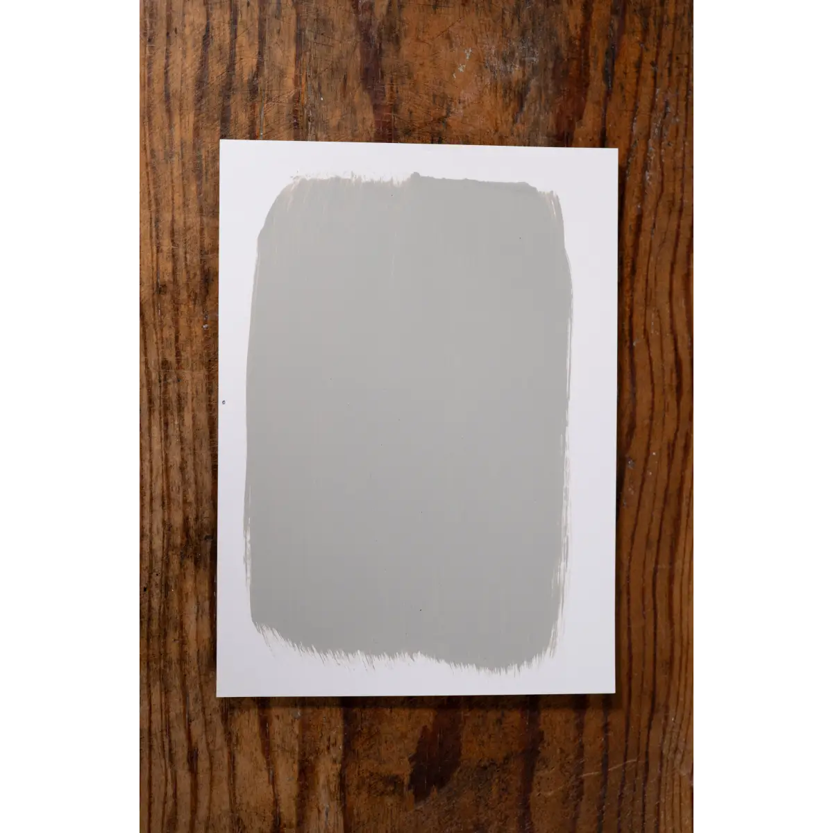 Creme Brûlée - Manor Borne Wall Paint - Amy Howard At Home