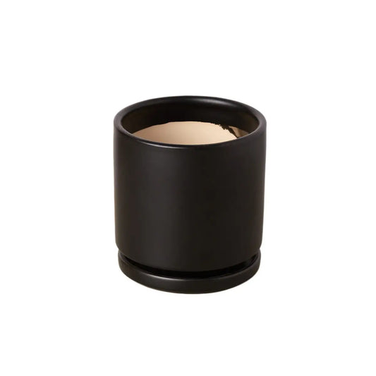 Cylinder Pot - 4 and 6 Inch - House Plant Shop