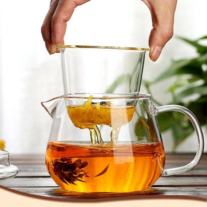 Théière en verre avec infuseur et couvercle16 oz