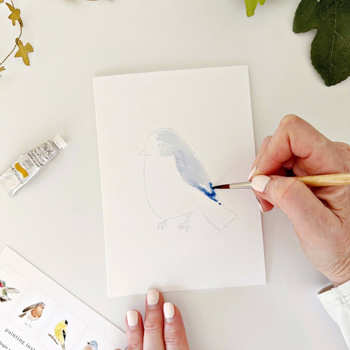 Backyard Birds Paintable Notecards - emily lex studio