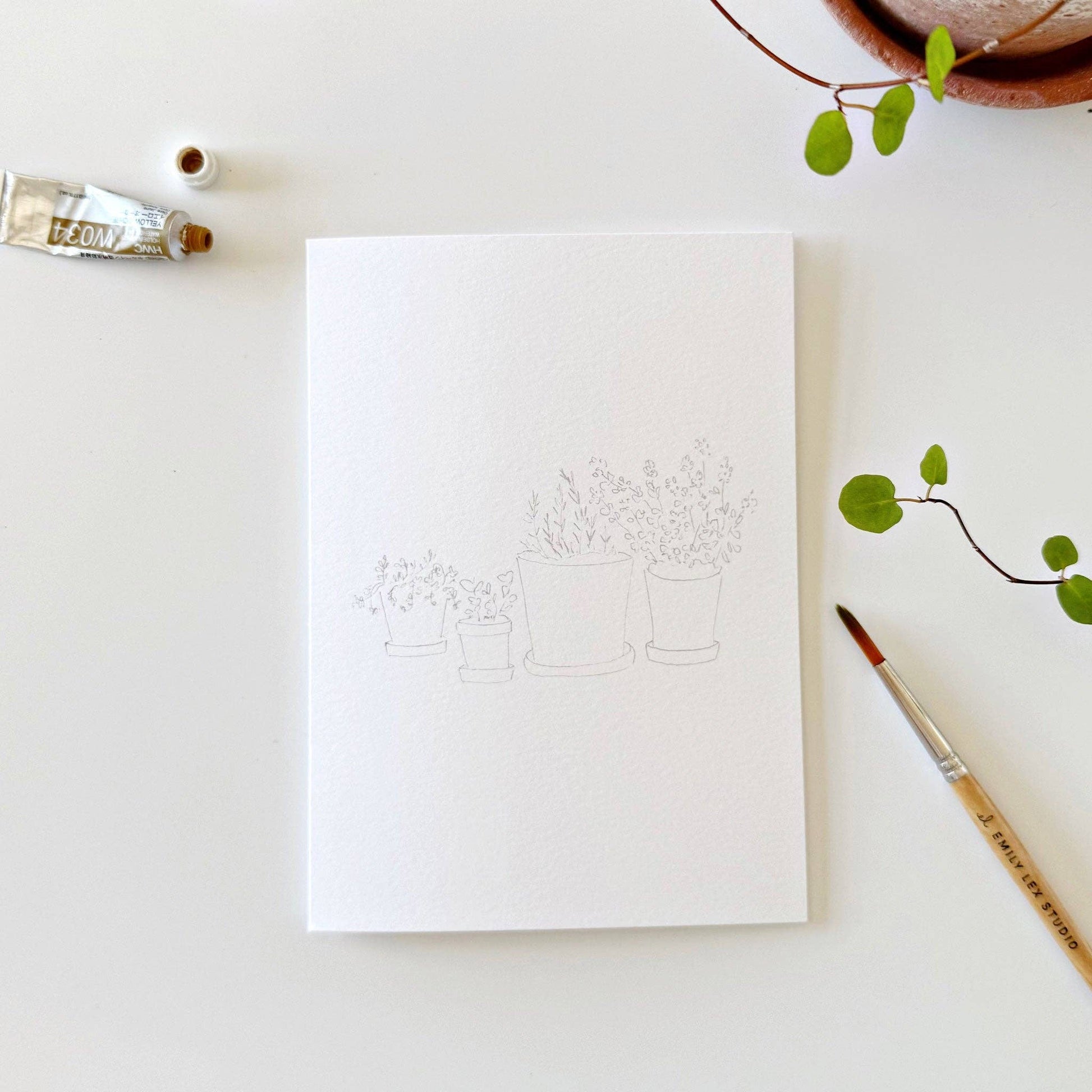 Potted Plants Paintable Notecards - emily lex studio