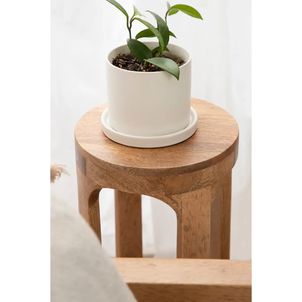 Dahl Modern Accent Table or Plant Stand - Round Wood - kateandlaurel