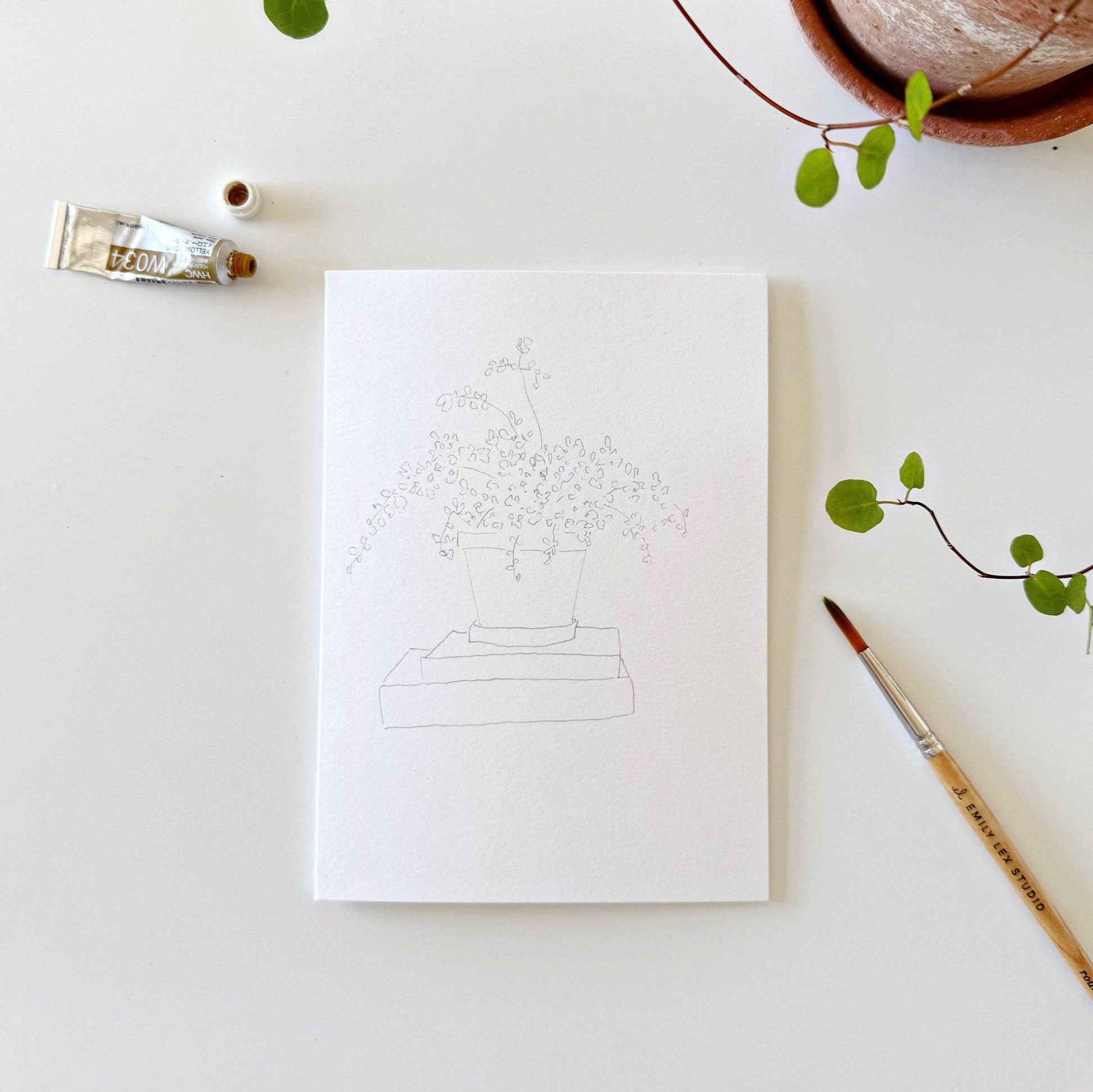 Potted Plants Paintable Notecards - emily lex studio
