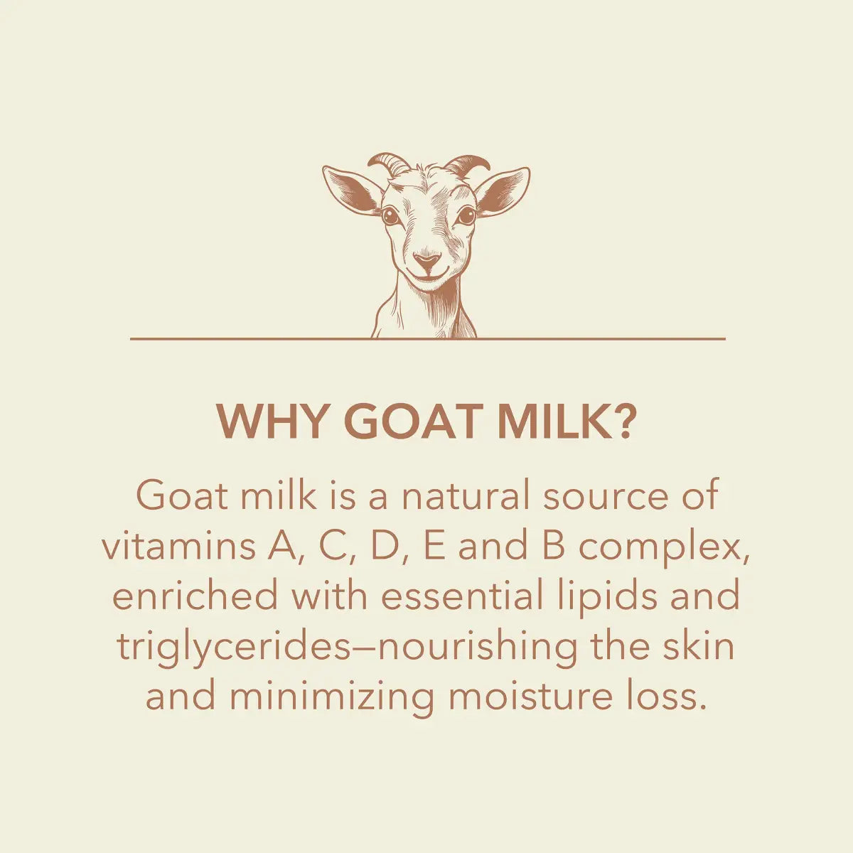 Goat Milk Body Lotion - Unscented - Dionis Goat Milk Skincare