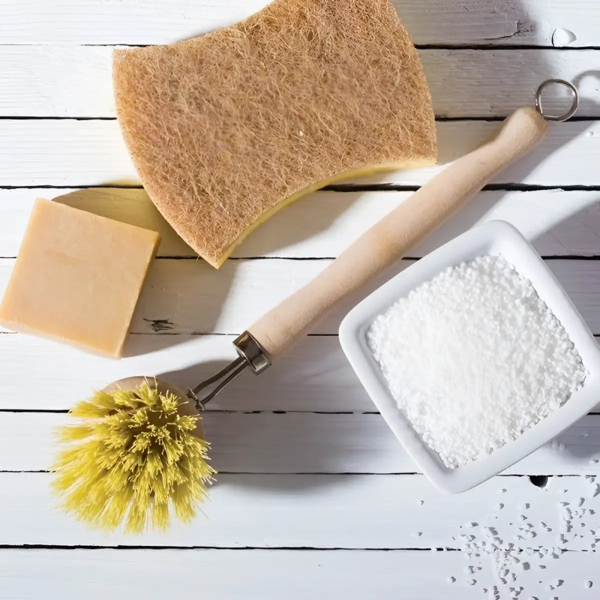 Dish Scrub Brush - Natural Bristle Long Handle - HIC - Harold Import Co.